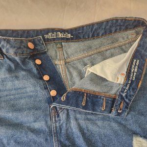 Wild Fable Denim Distressed Shorts